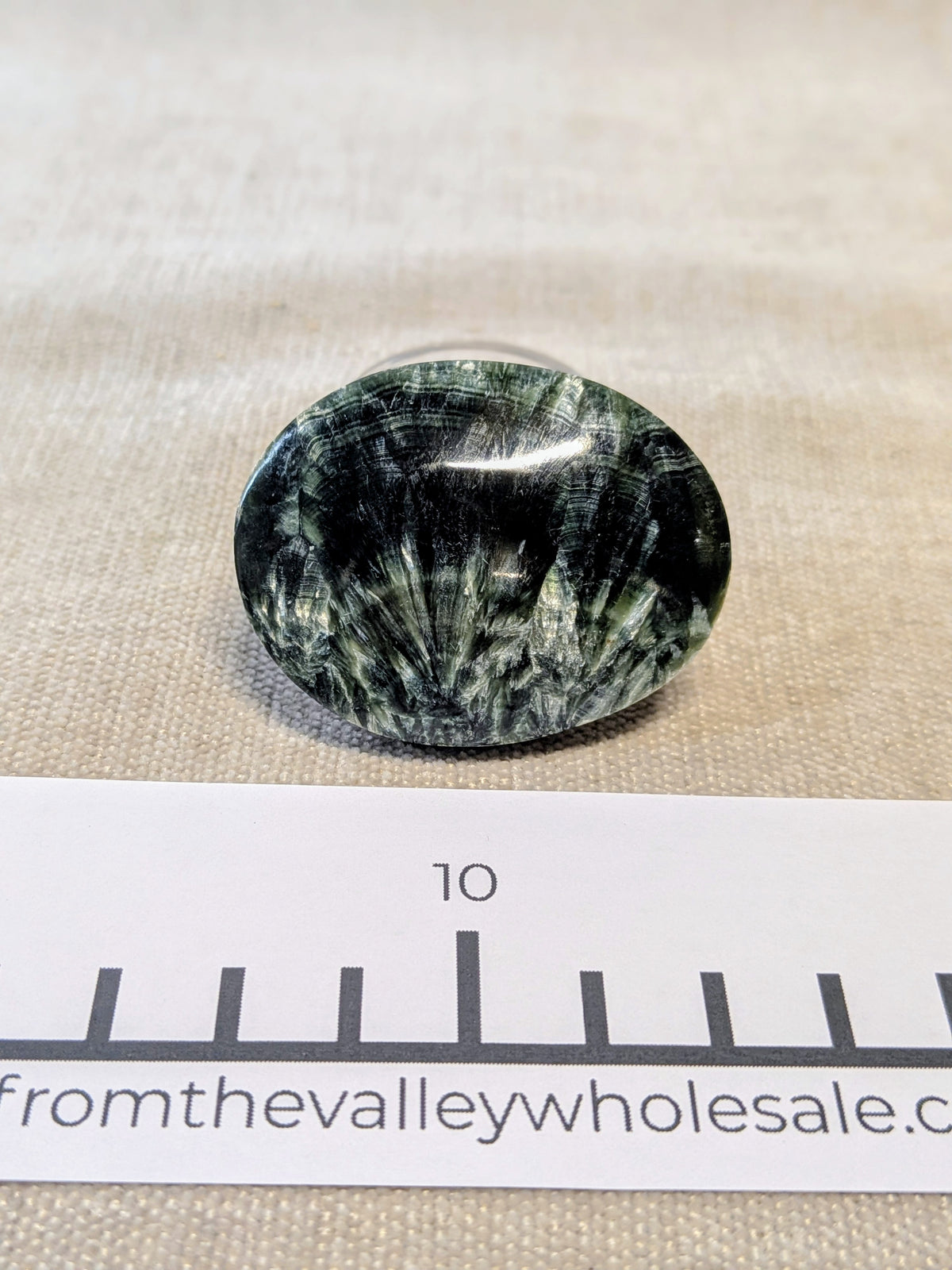 Seraphinite Palms