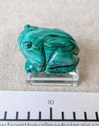 Malachite Animals