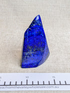 Lapis Lazuli Freeforms (Regular)