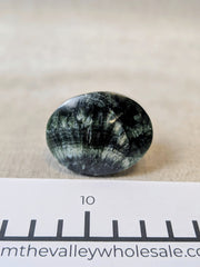 Seraphinite Palms