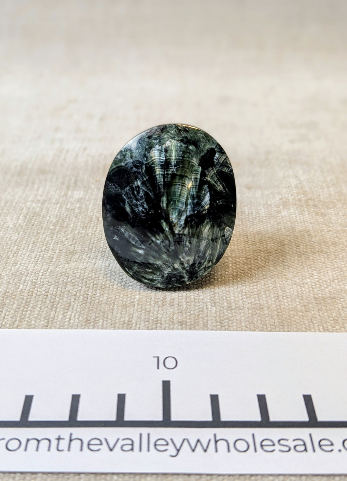 Seraphinite Palms